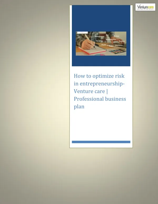 How to optimize risk in entrepreneurship|Best business plan-venture care