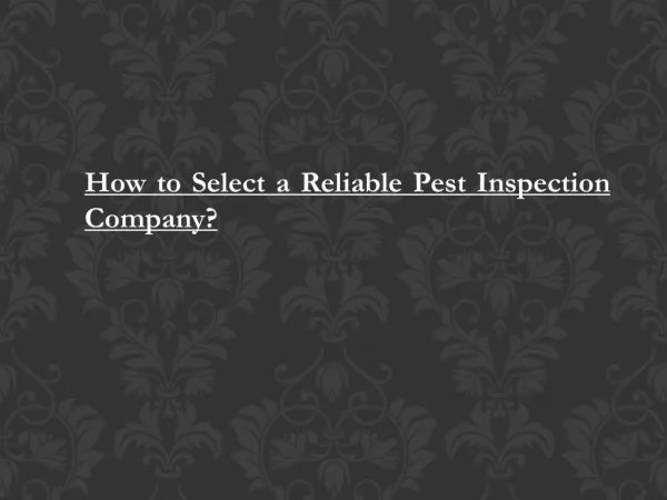 How to Select a Reliable Pest Inspection Company?
