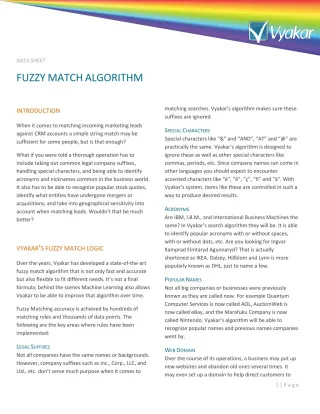 Fuzzy Match Algoritham - slide 1
