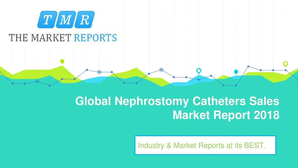 global nephrostomy catheters sales market report 2018