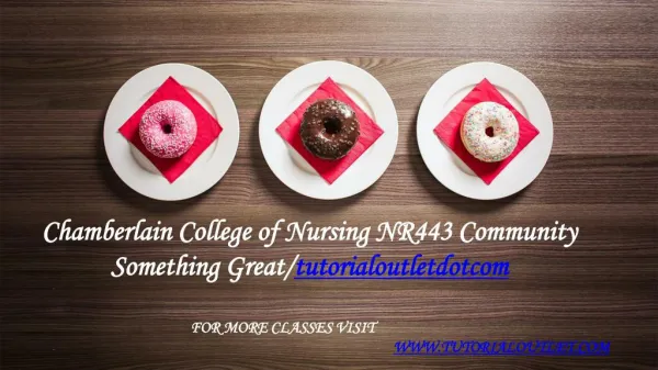 Chamberlain College of Nursing NR443 Community Something Great /tutorialoutletdotcom