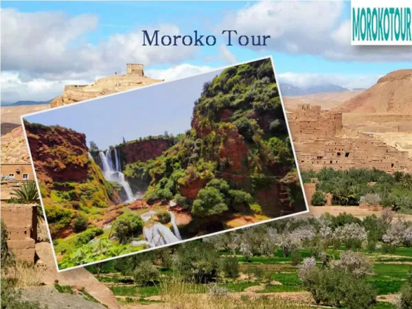 Tips for Planning Day trip excursion from Marrakech