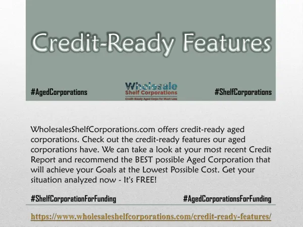 Credit-Ready Features - Wholesale Shelf Corporations