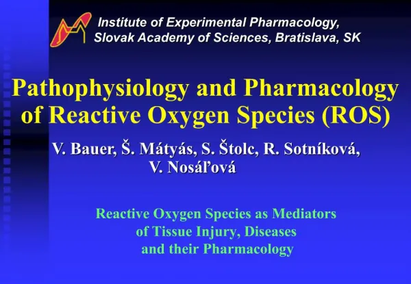 Pathophysiology and Pharmacology of Reactive Oxygen Species ROS