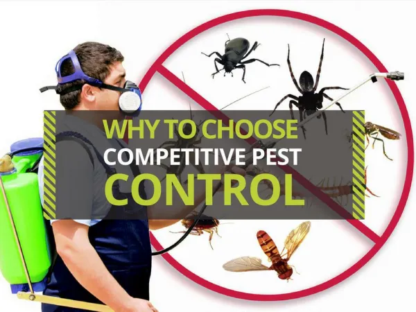 Why To Choose Competitive Pest Control?