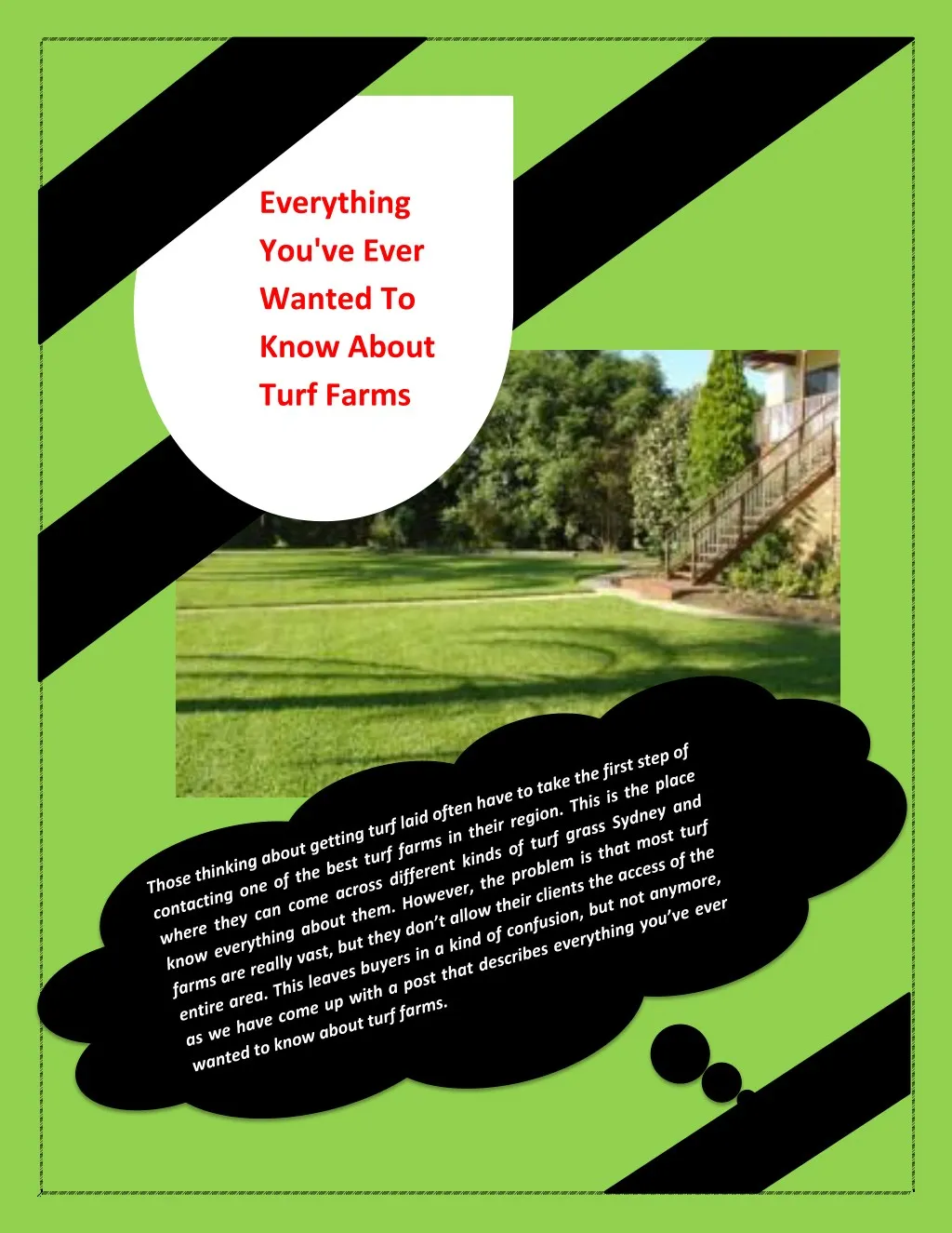 everything you ve ever wanted to know about turf