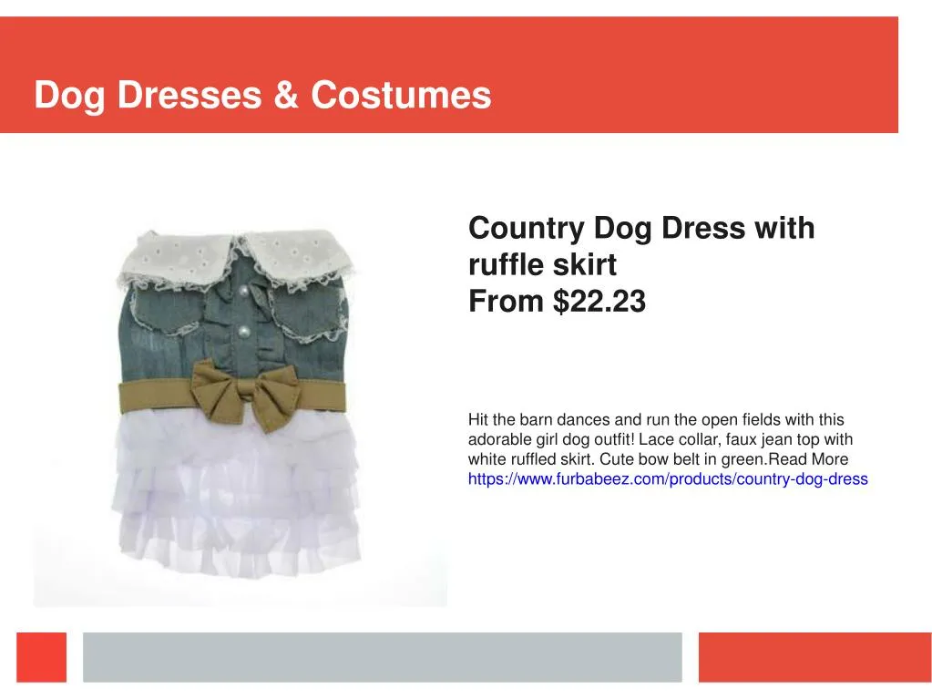 dog dresses costumes