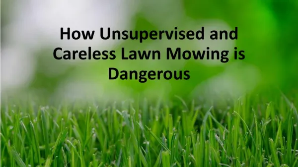 How Unsupervised and Careless Lawn Mowing is Dangerous