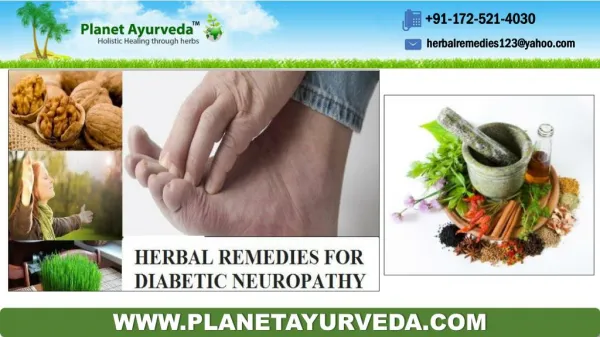 Herbal Remedies For Diabetic Neuropathy | Natural Treatment