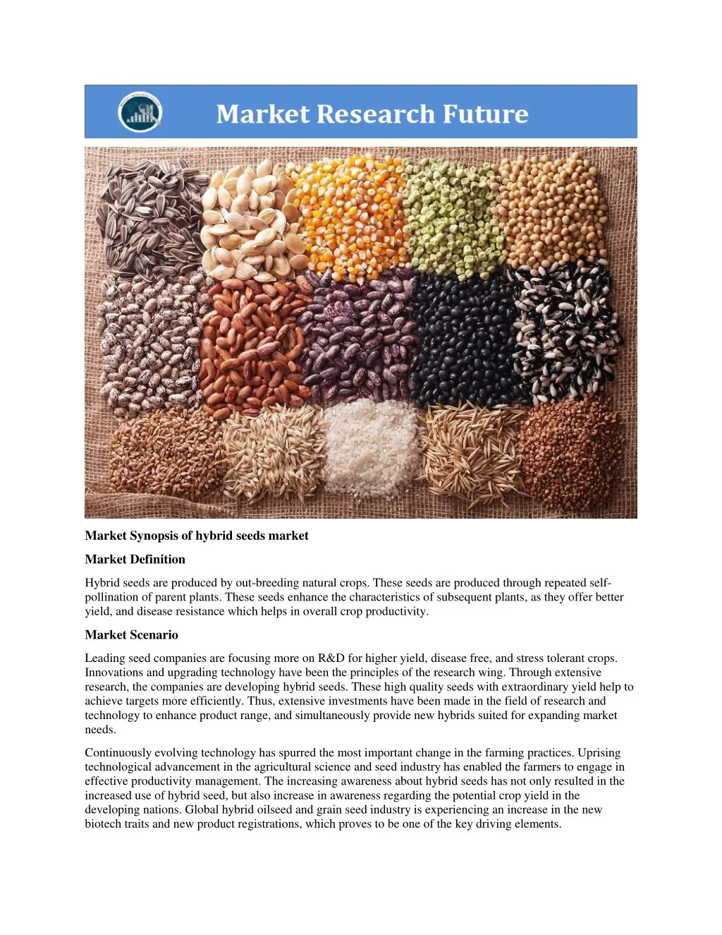 market synopsis of hybrid seeds market
