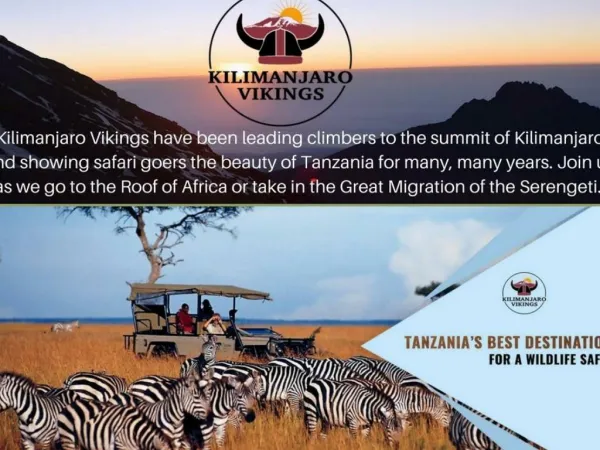 Tanzania safari tours