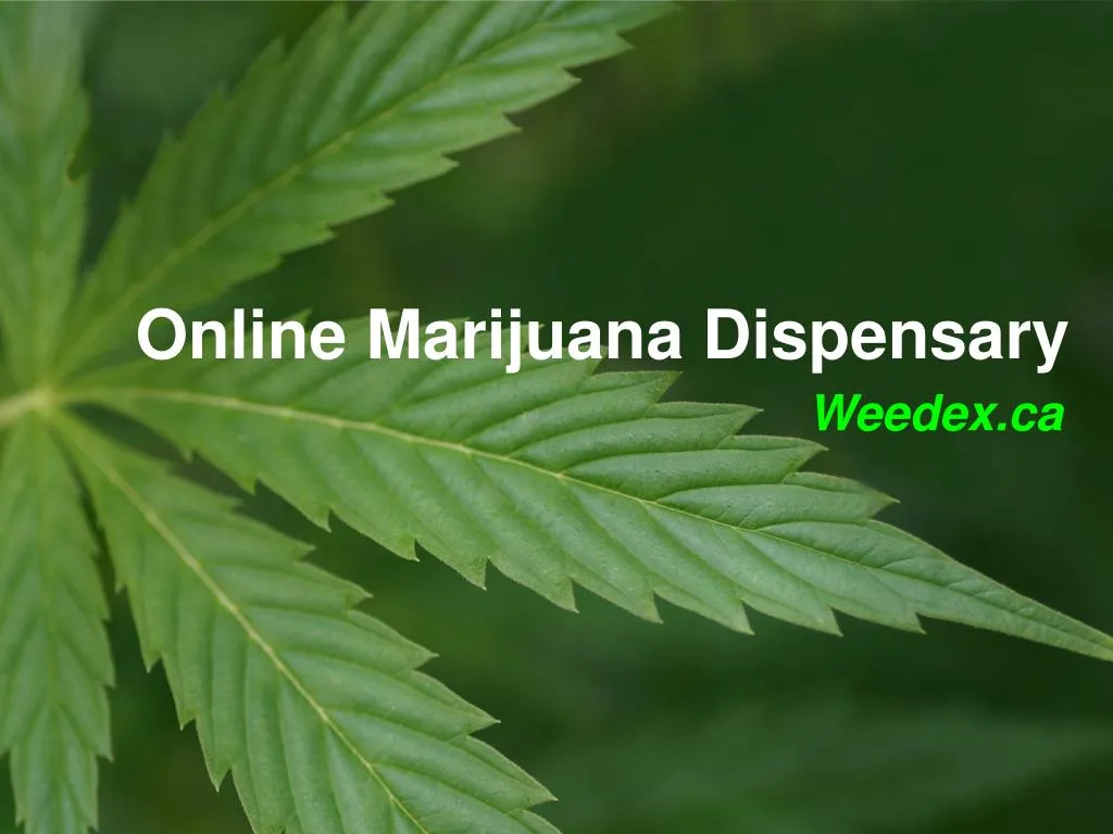 online marijuana dispensary