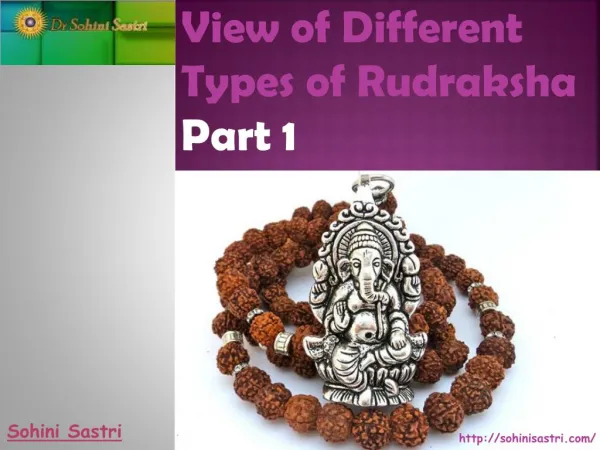 View of Different Types of Rudraksha Part-1