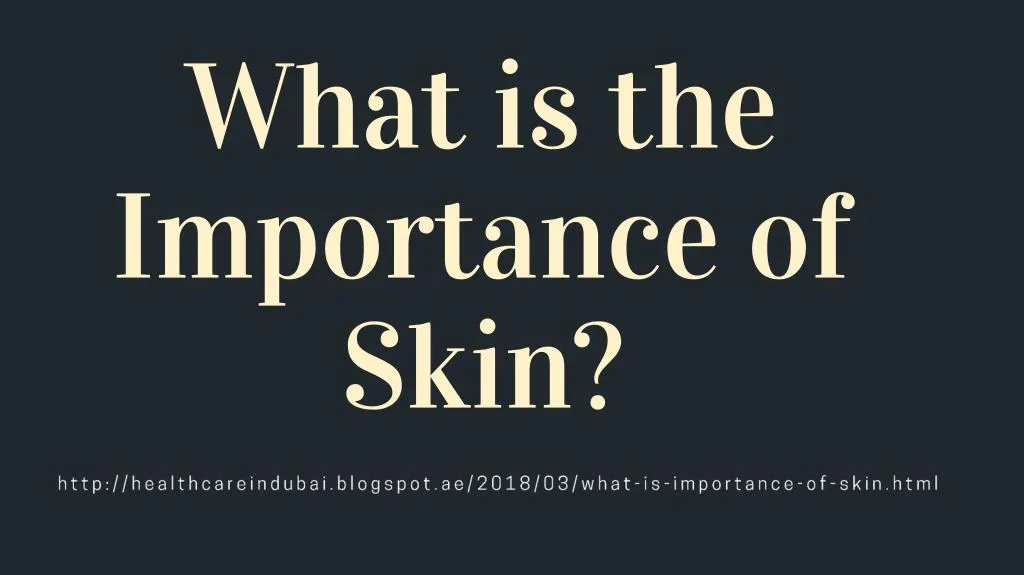 what is the importance of skin