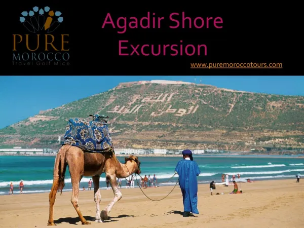 Agadir Shore Excursion