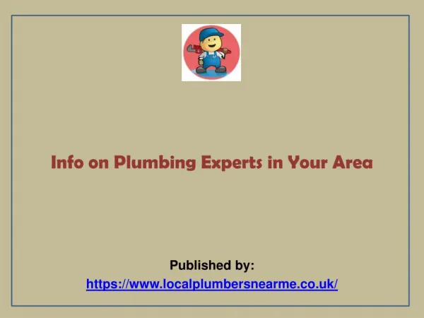 Info on Plumbing Experts in Your Area