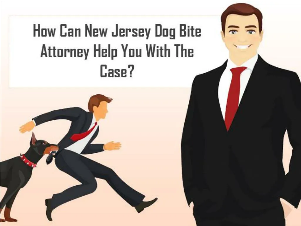 how can new jersey dog bite attorney help you with the case