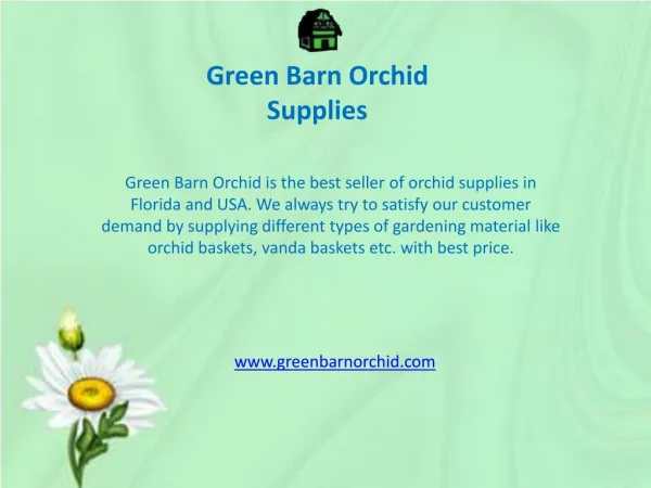 Orchid Baskets for Sale Online in Florida