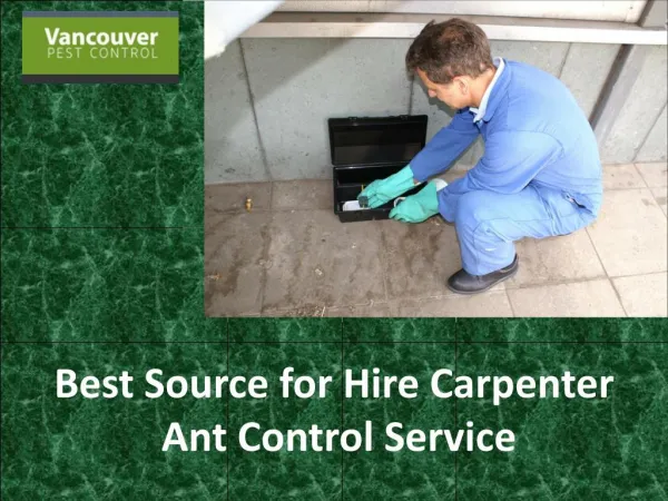 Best Source for Hire Carpenter Ant Control Service