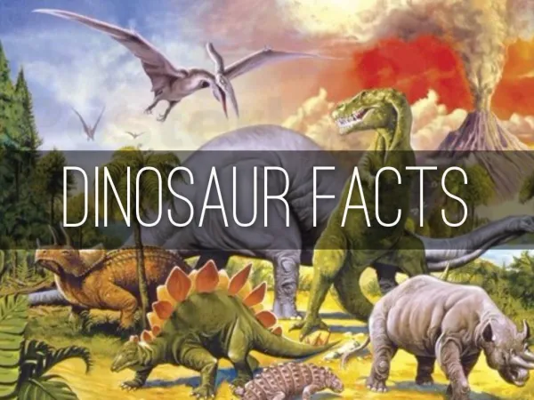 Dinosaur Facts