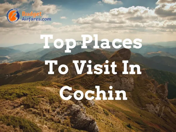 Top Places To Visit In Cochin