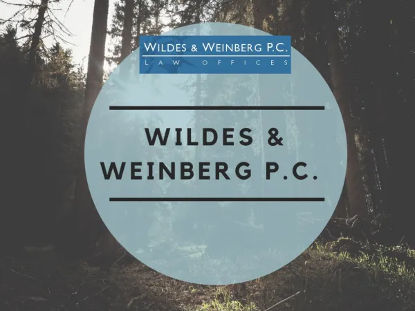 Top Immigration Lawyer from Wildes & Weinberg