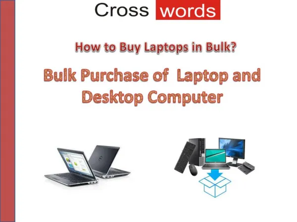 Laptop Wholesale Distributors, Computer Exporters in Dubai