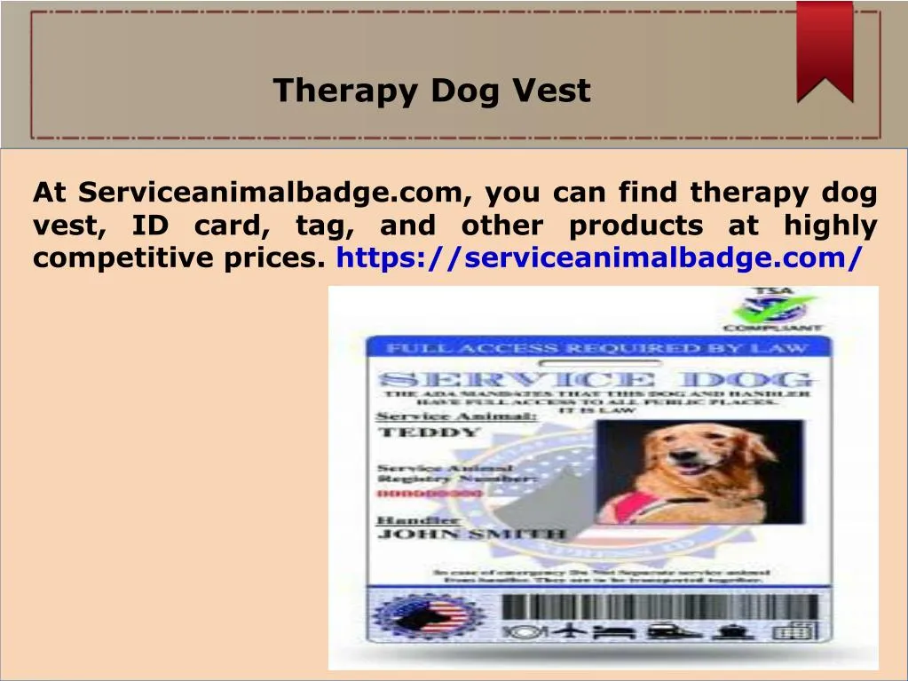 therapy dog vest