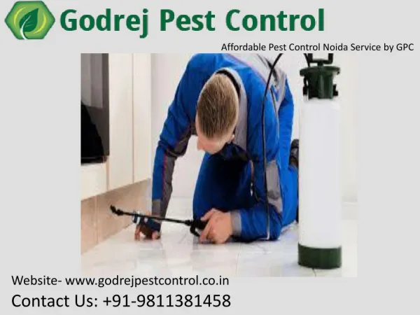 Get World-Class Pest Control Gurgaon services