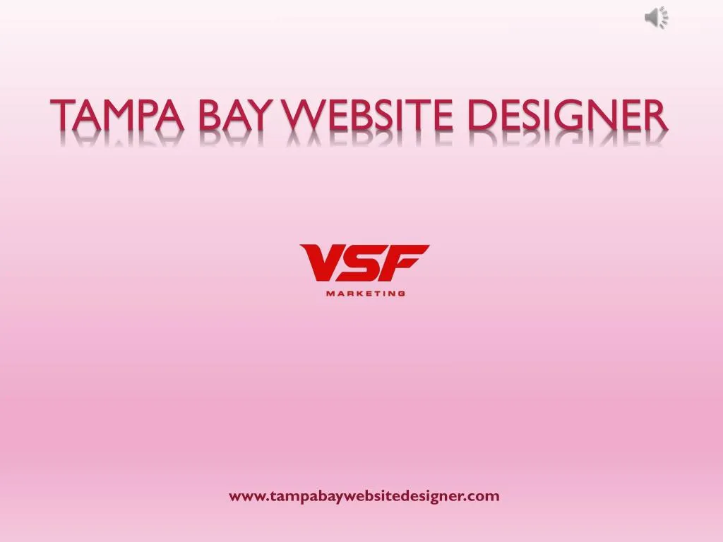 tampa bay website designer