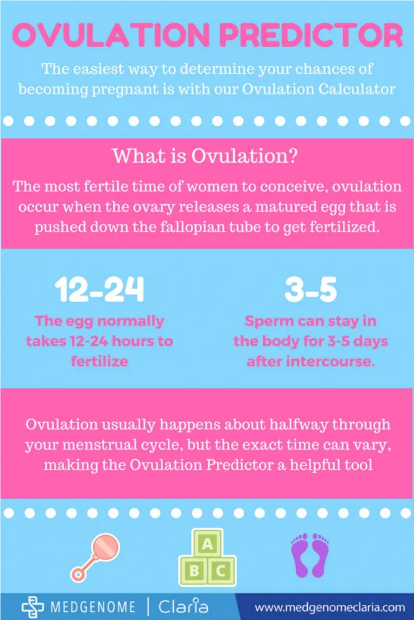 Ovulation Predictor