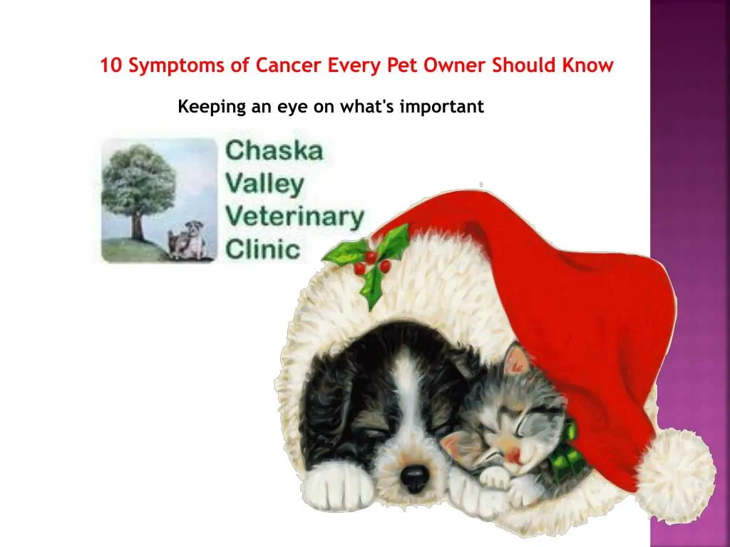 10 symptoms of cancer every pet owner should know
