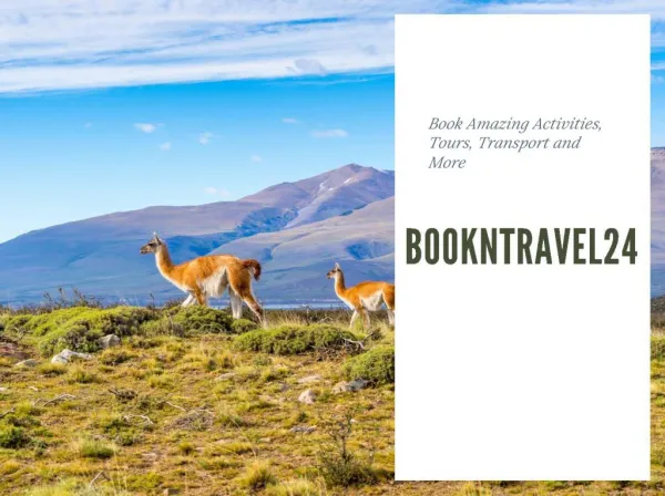 Bookntravel24.com