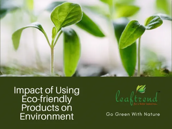 Impact of using Eco-friendly Products on Environment