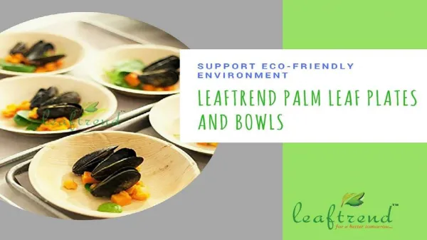 Support Eco-Friendly Environment || Leaftrend Palm Leaf Plates And Bowls