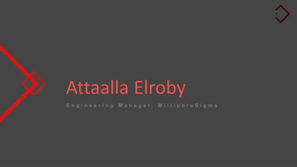 Attaalla Elroby - Engineering Manager at MilliporeSigma