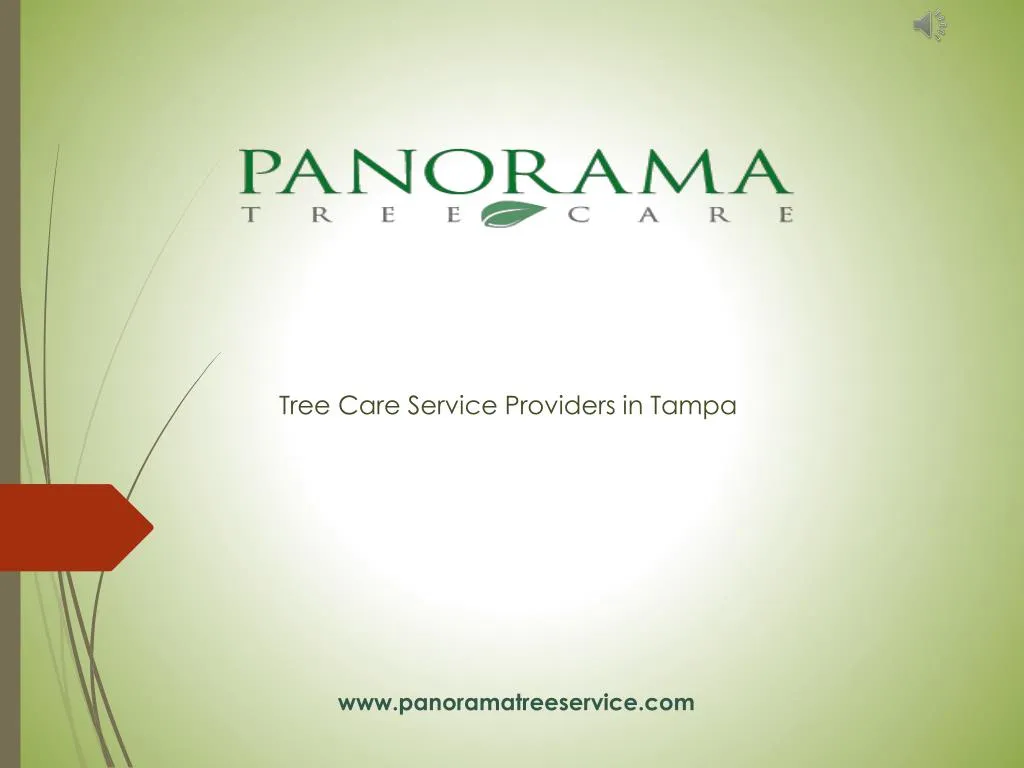 tree care service providers in tampa
