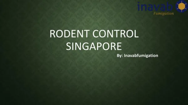 Looking for Rodent Control Treatment in Singapore