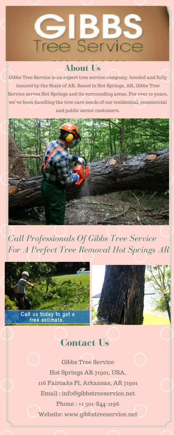 Tree Service For A Perfect Tree Removal Hot Springs AR