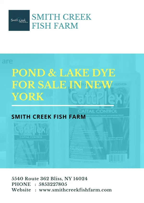 Pond & Lake Dye for Sale in New York