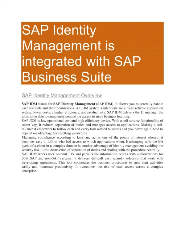 SAP IDM PDF