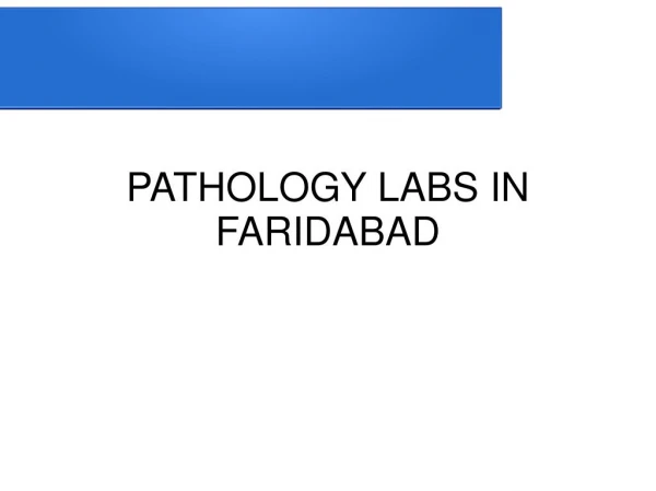 Uric Acid Test in Faridabad