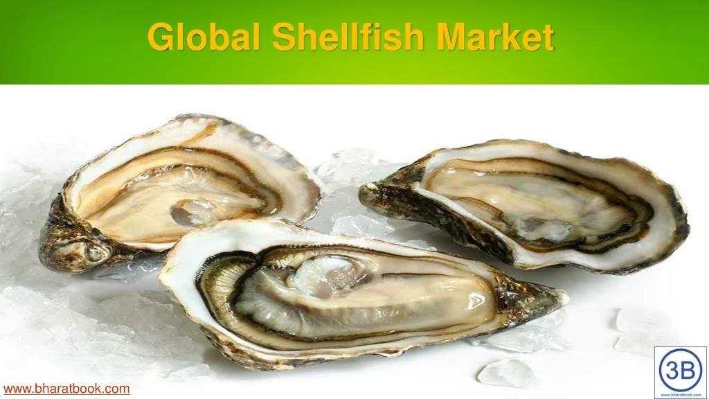 global shellfish market