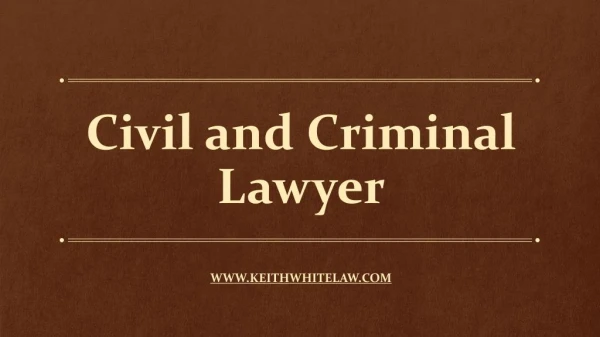 civil and criminal lawyer