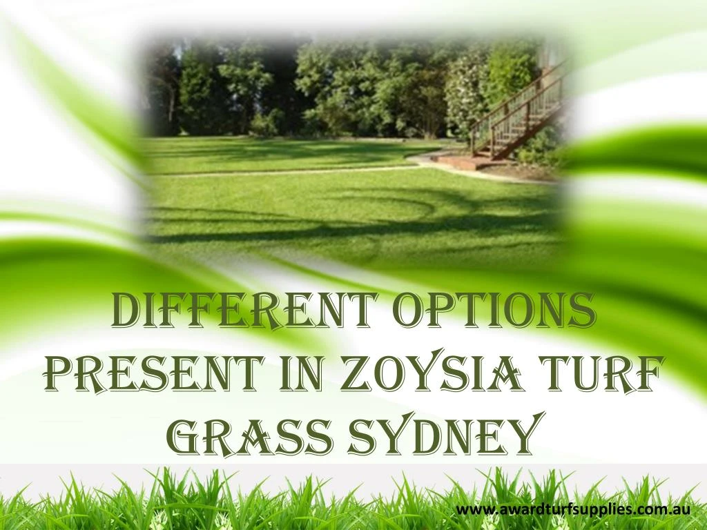 different options present in zoysia turf grass sydney