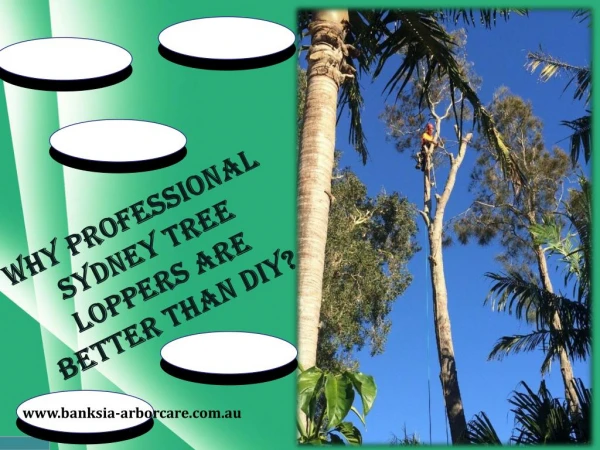 Professional Tree Loppers in Sydney