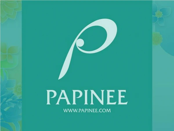 Papinee Storytelling Toy Manufacture company