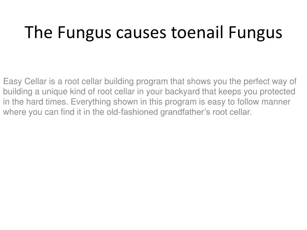 the fungus causes toenail fungus