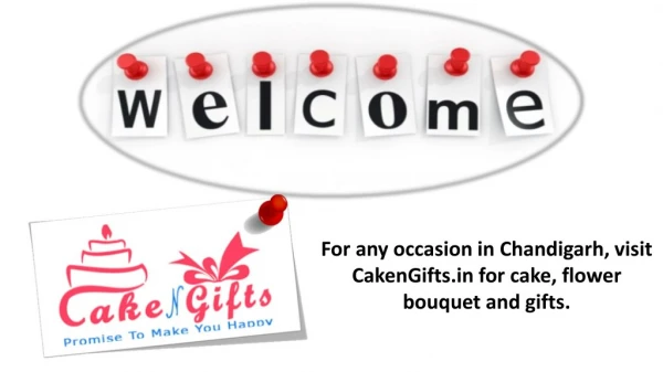 Who to choose to give any cake or gift to any session, birthday, party, or anyone in Chandigarh?
