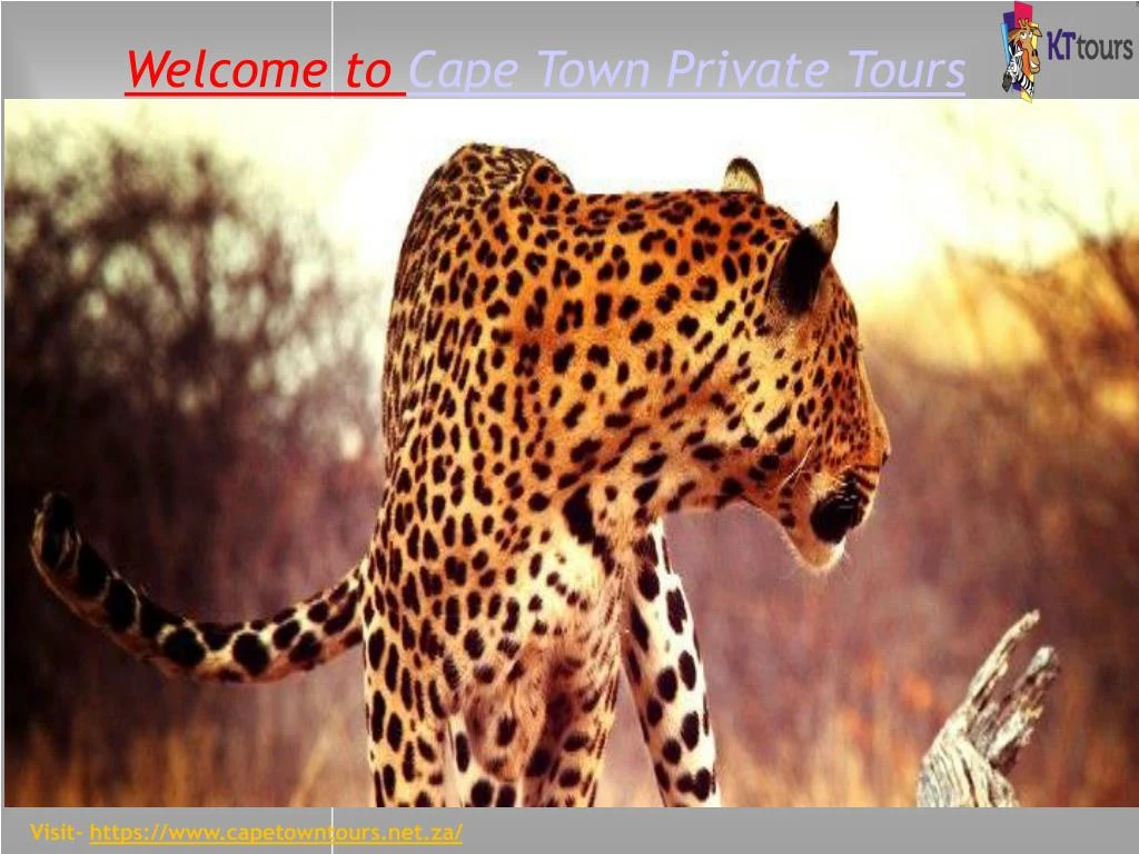 welcome to cape town private tours